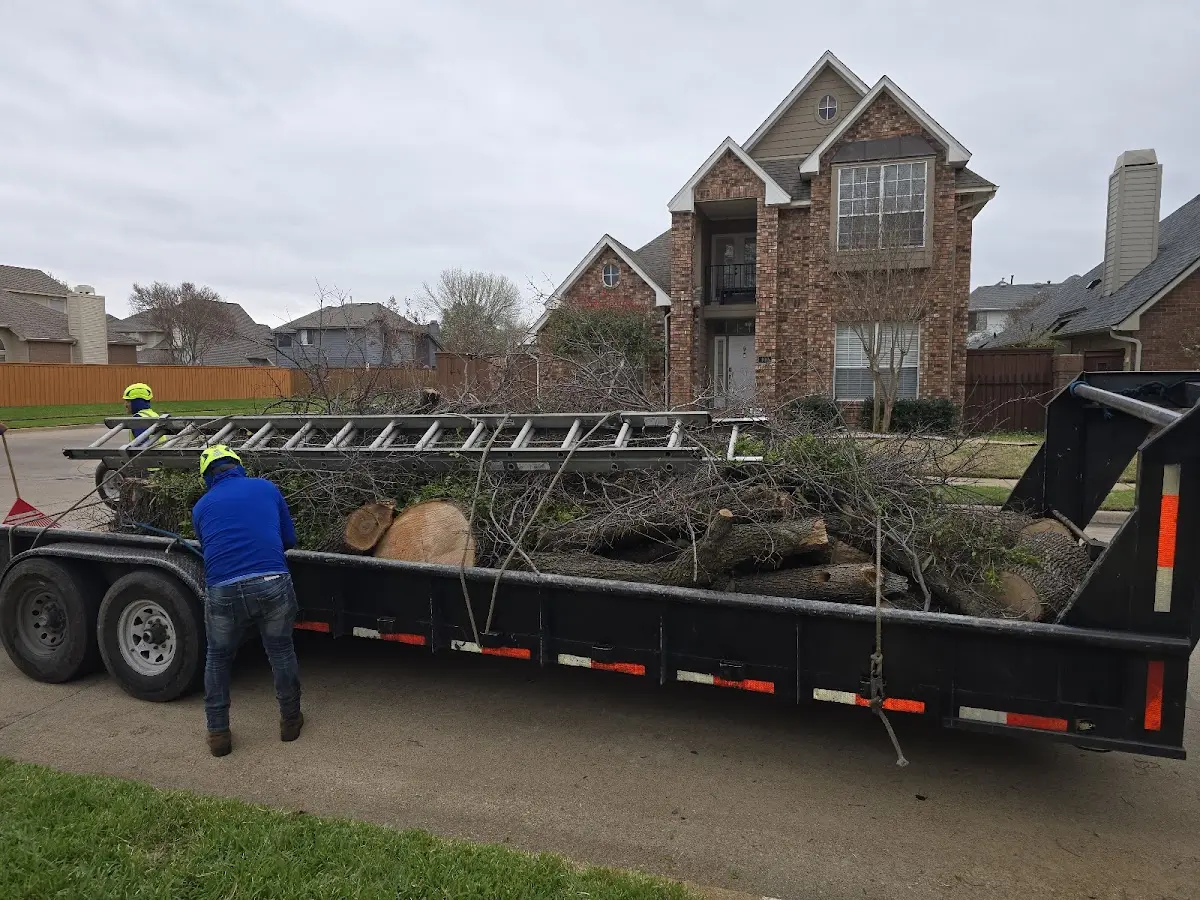 Expert Lot Clearing with proper safety equipment in Pittsburg